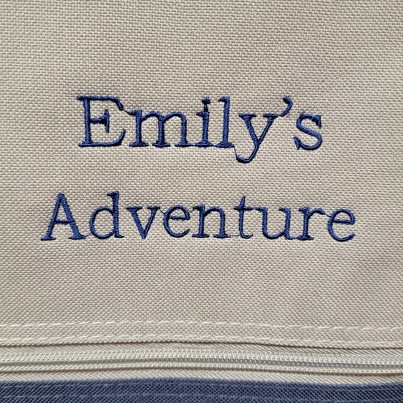 Backpack NWT - Picture 3 of 16